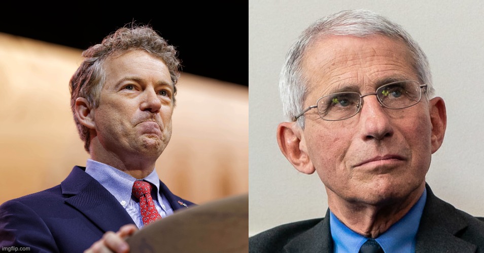 Fauci's Legacy In Trouble As Rand Paul, Chip Roy Introduce Bill To ...