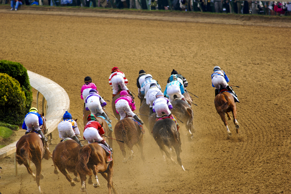 7 Horses Euthanized As Deadly Kentucky Derby Race Comes To End The