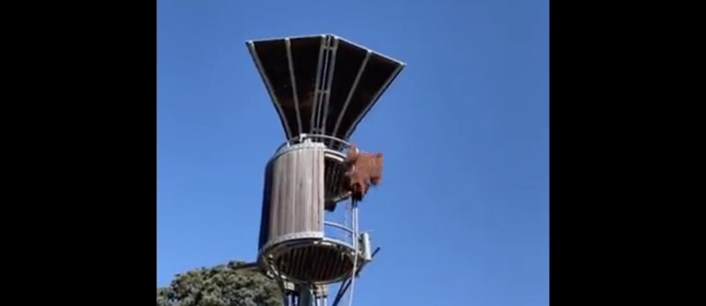 Massive Orangutan Throws Opossum Across The Zoo In Perth, Australia ...