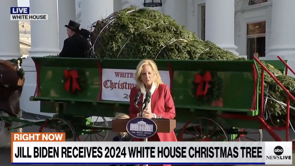 “A Tree that Survives a Cat 4 Hurricane but Not the Biden’s”: Joe and Jill Slammed for Christmas Tree Choice [WATCH]