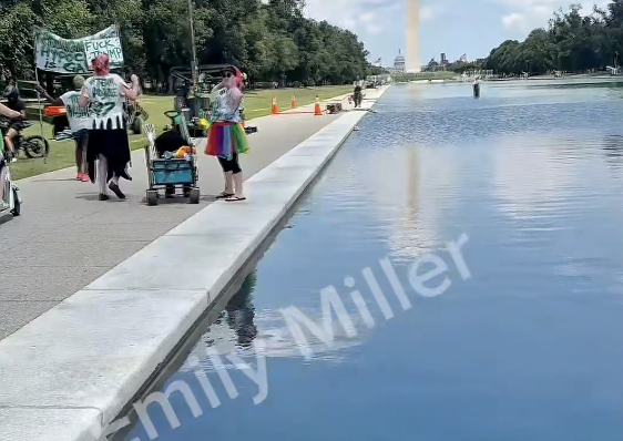 “We’ve Reached Peak Circus”: Leftists Hold Pro-Algae Protest to Attack Trump for Cleaning Monument [WATCH]