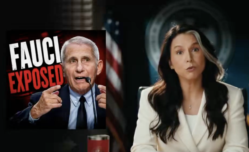JUST IN: Tulsi Gabbard Exposes Fauci in a Big Way on Her Last Day [WATCH]