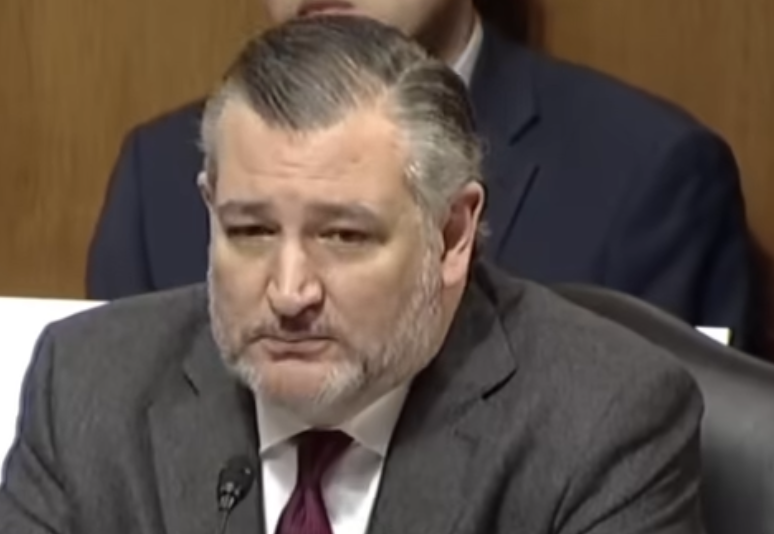 WATCH: Ted Cruz Shuts Down Dem Witness to His Face after He Tries Lying, Blaming Trump for Minnesota Fraud