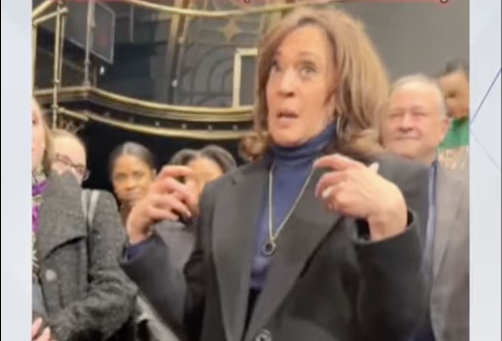 “Not Drunk, Just Her Normal Self”: Megyn Kelly Hilariously Roasts Kamala Harris [WATCH]