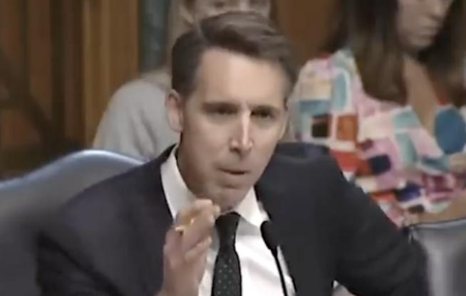 WATCH: Leftist Witness Gets Roasted So hard He Forgets How to Speak