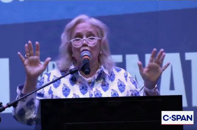 WATCH: Democrat Rep. Debbie Dingell Has Total On-Stage Meltdown Over Her Party Getting Called Out for Its Connection to Radical Leftists