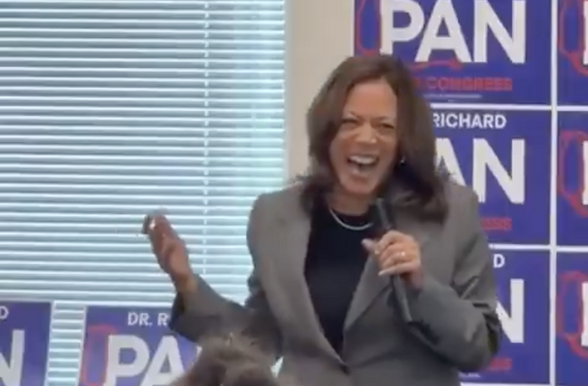 “Please Clap” Redux: Kamala Punchline Lands with a Thud, and Then She Has to Beg the Crowd for Applause [WATCH]